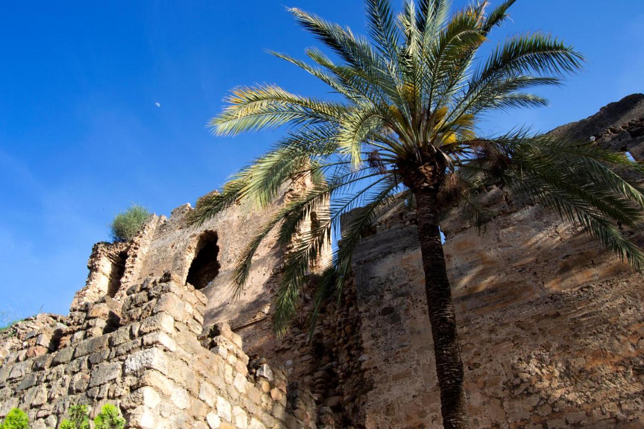 Edificio Ramiro Διαμέρισμα Μαρμπέλλα Εξωτερικό φωτογραφία